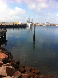 Nelson Bay Marina NSW