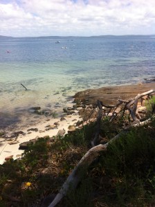 Dutchies Nelson Bay NSW